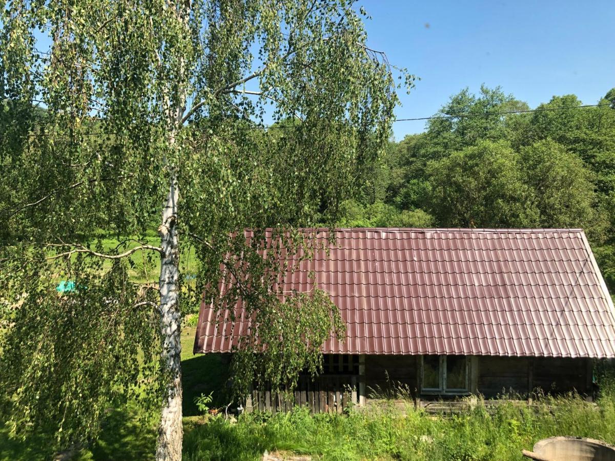 Zielonapogoda Lądek-Zdrój Dış mekan fotoğraf