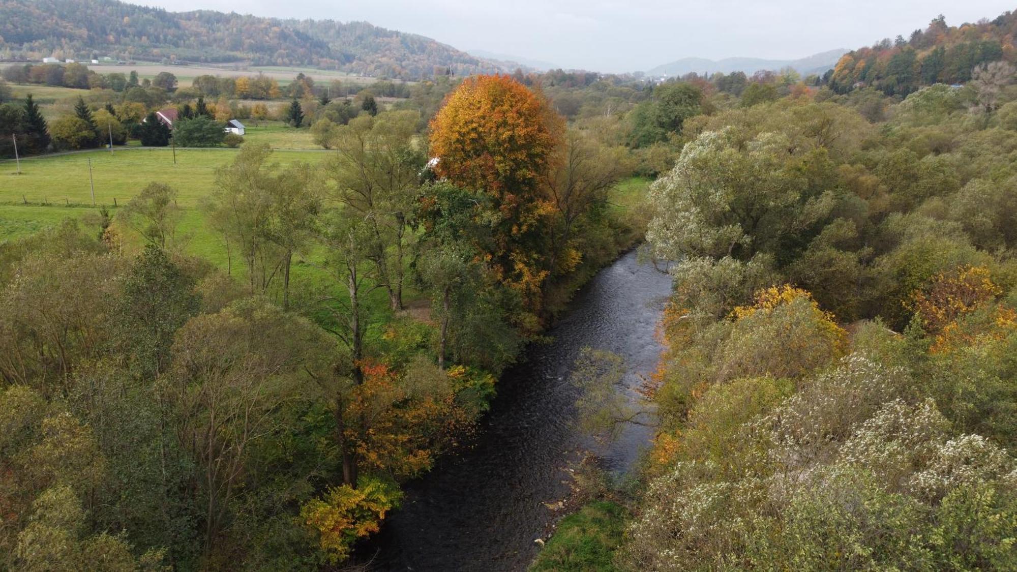 Zielonapogoda Lądek-Zdrój Dış mekan fotoğraf